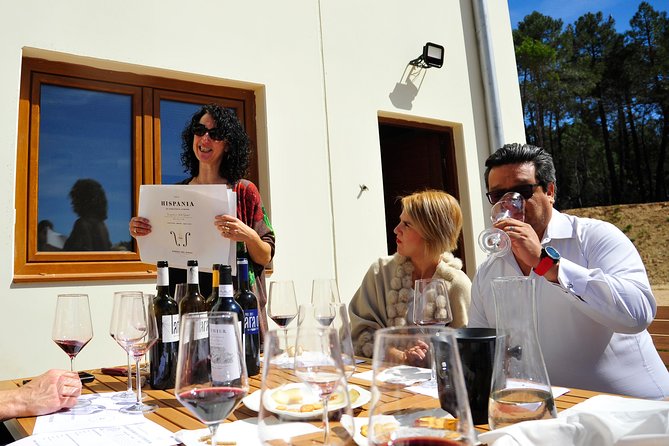 Guided Wine Day Tour to Ribera del Duero from Madrid