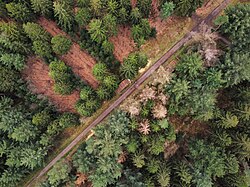 Landschaftsschutzgebiet Heseler Wald und Umgebung