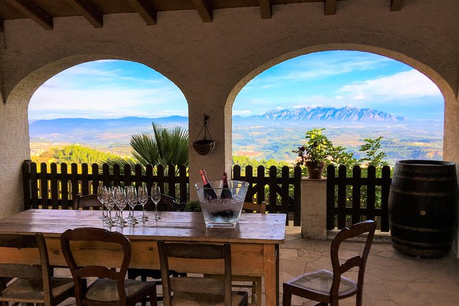 Wine and Cava Tour from Barcelona with Tastings and Brunch