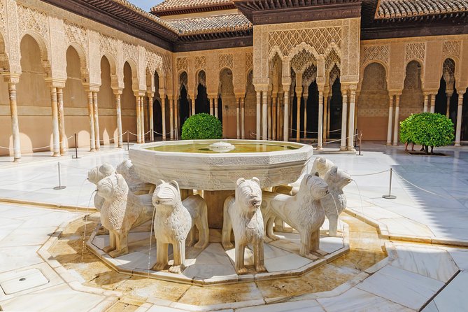 Alhambra & Nasrid Palaces Private tour