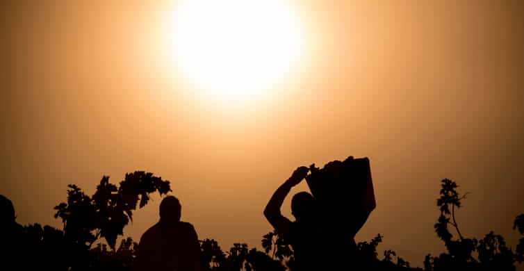 La Rioja: Winery Tour with Tastings and Traditional Lunch