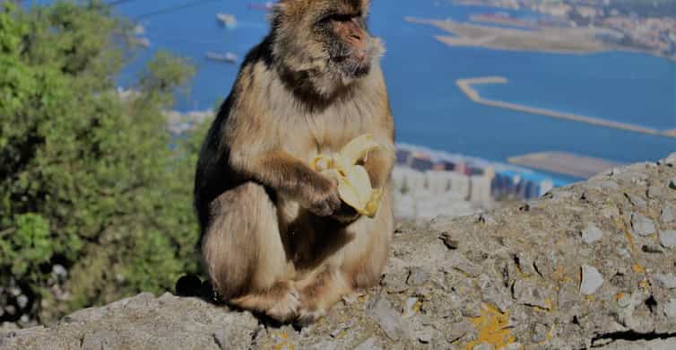 From Seville: Full-Day Trip to Gibraltar