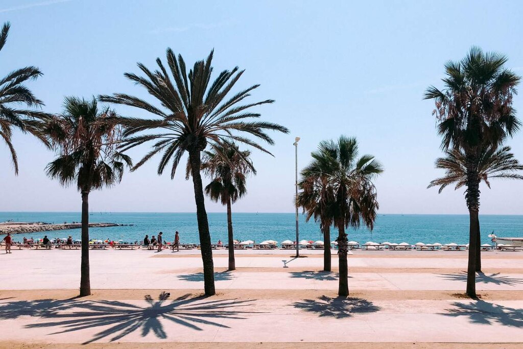 View of Barcelona beach, palm trees, and ocean 