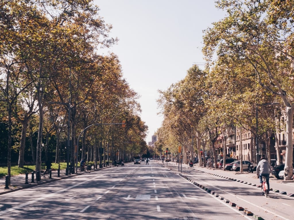 Barcelona in November