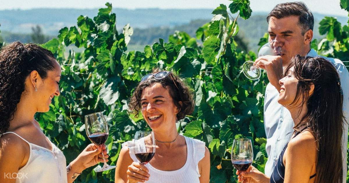 Barcelona Wine and Cava with City Highlights Day Tour