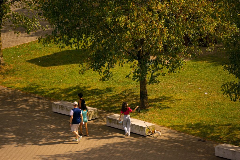 Image-of-people-walking-at-the-park