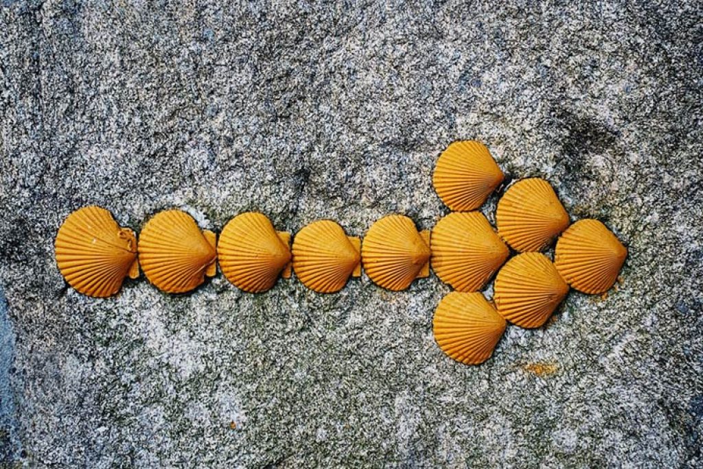 camino sign made of yellow shells