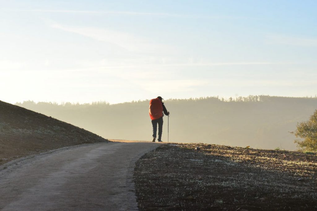 camino walker with backpack