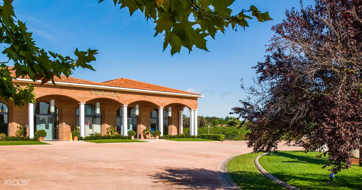 Catalan Wine and Cava Tasting Day Tour from Barcelona