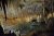 Caves of Drach Tours (Half & Full-Day Majorca Excursions) 2024