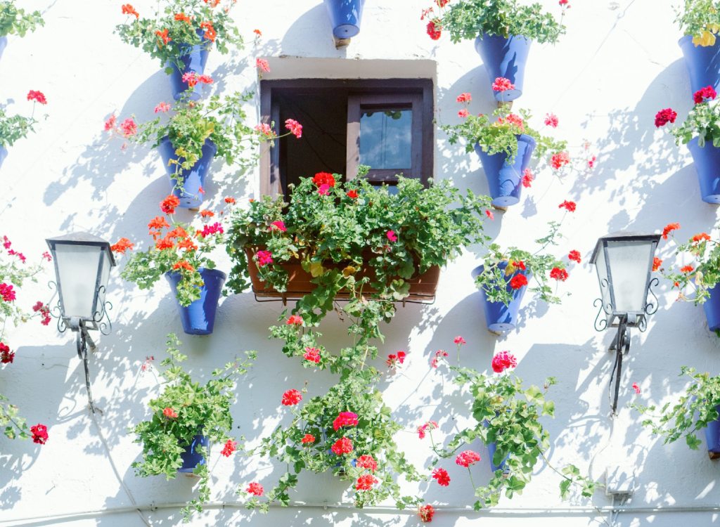 A flower filled patio in Cordoba