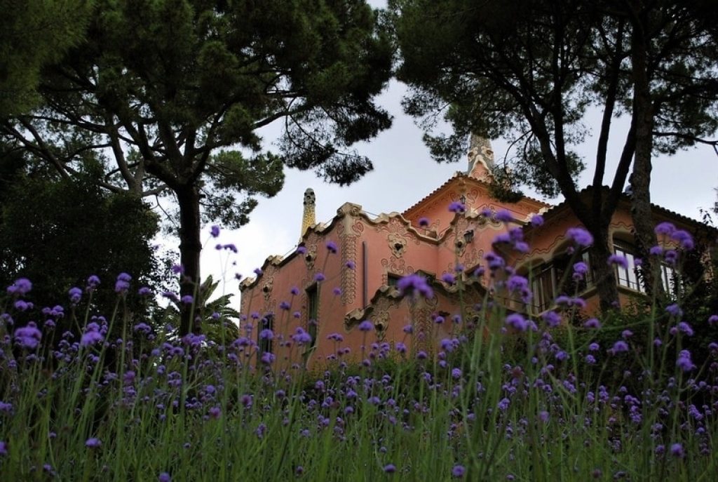 gaudi-house-museum-among-flowers