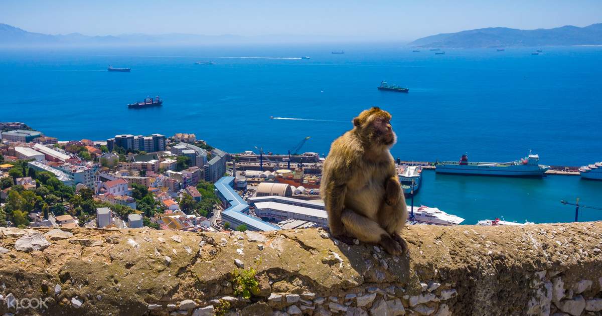 Gibraltar Sightseeing Full Day Tour