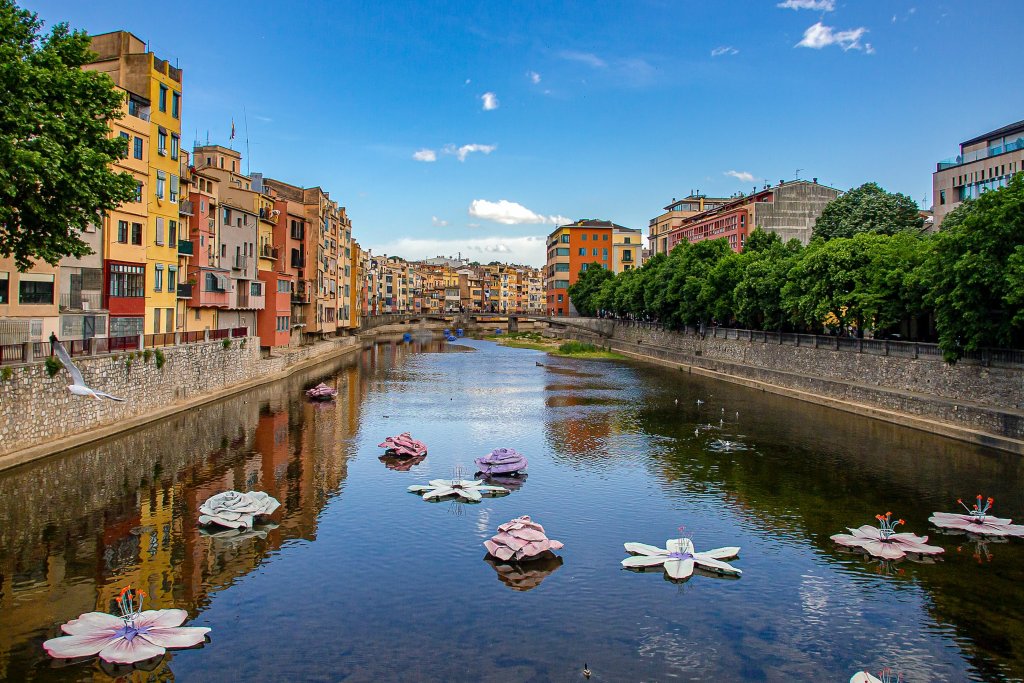Lake with flowers in Girona, Spain