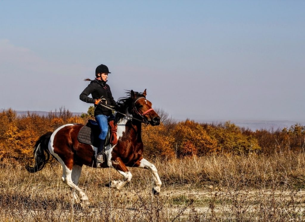 horseback-riding-outdoors-nature-adventure.jpg