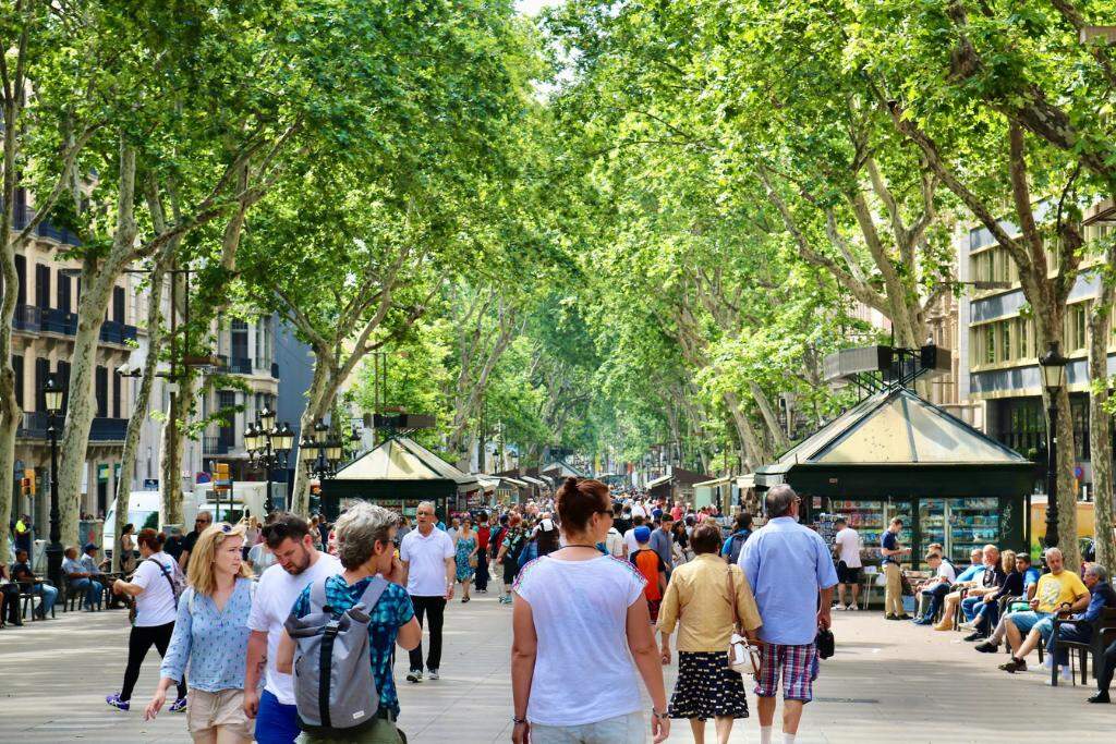 Las Ramblas street markets and trees in Barcelona