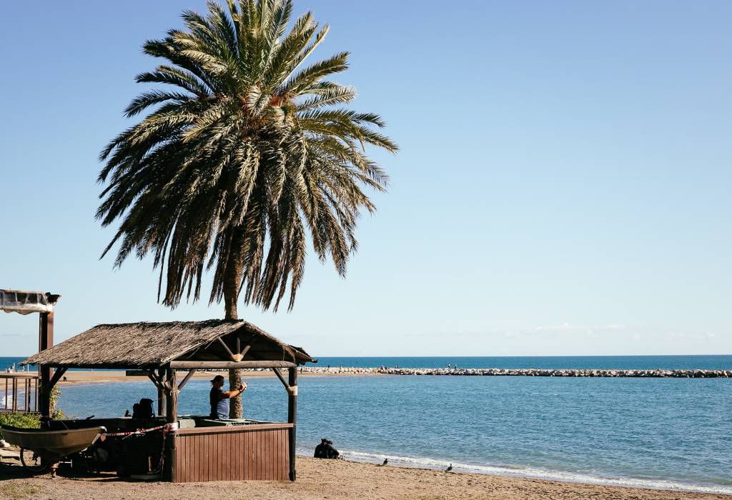 Small beach hut and palm tree on a beach.