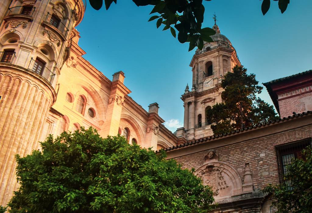 Malaga Cathedral with tree at sunset.