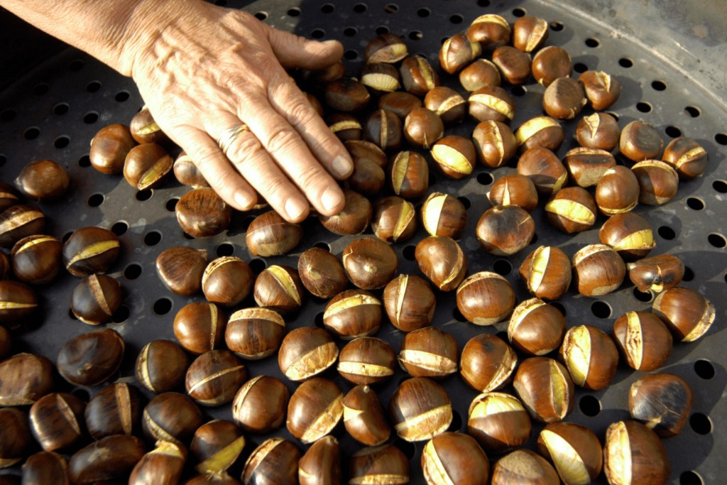 Chestnuts roasting in Malaga in October
