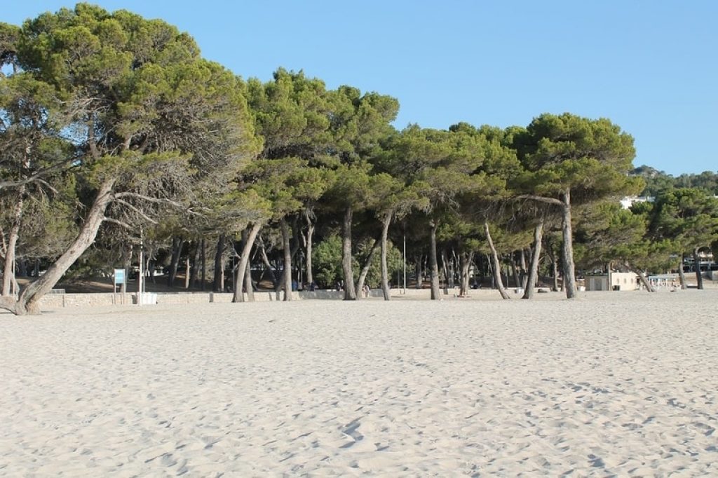 santa-ponsa-clean-beach