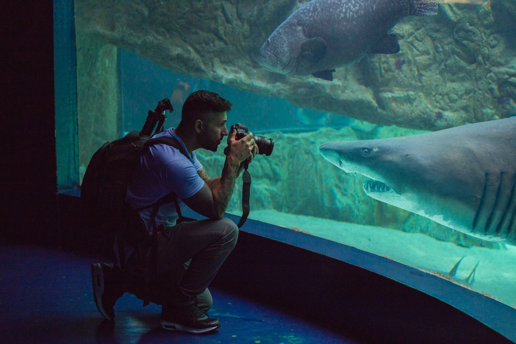 man-taking-photo-of-shark-at-madrid-aquarium