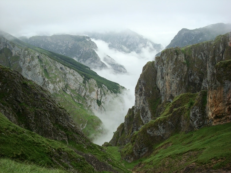 green mountains and mist