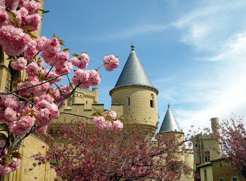 castle in olite spain