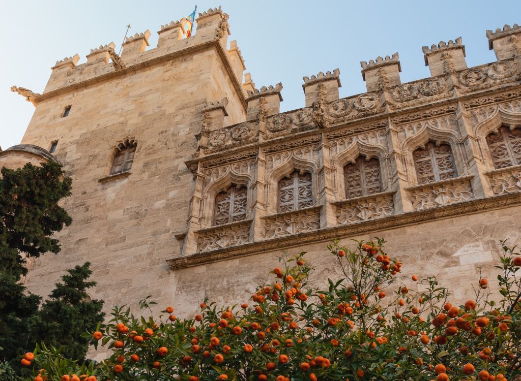 Orange trees and architecture in Valencia