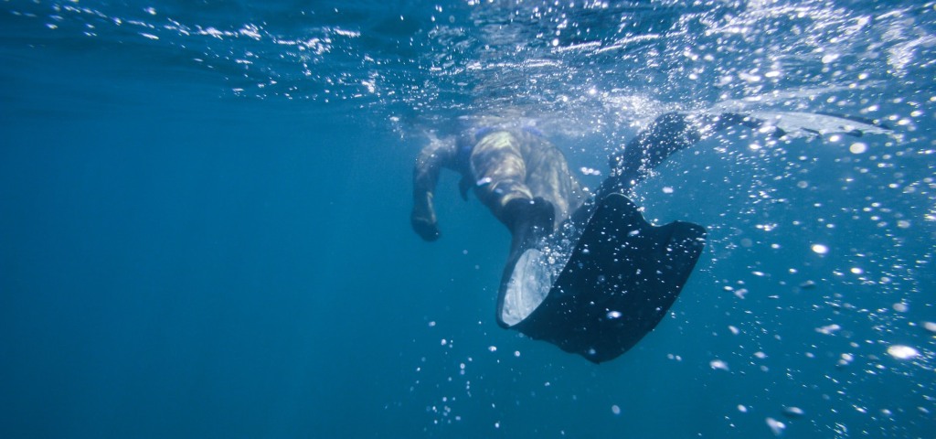 Snorkeler under water with fins