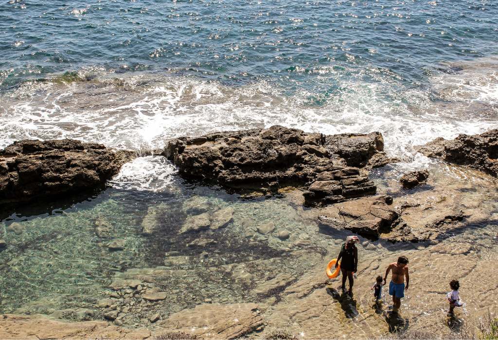 Three people swimming in the ocean