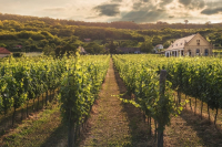 Spain Wine Tours | Tickets To Best Wineries & Vineyards