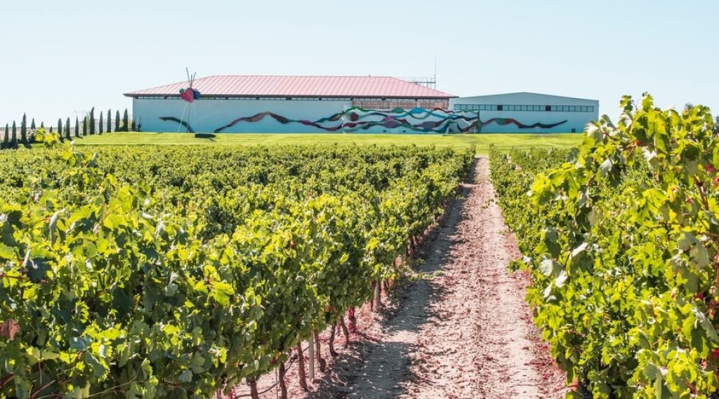 Spanish-vineyard-with-mural-on-back-wall-in-background