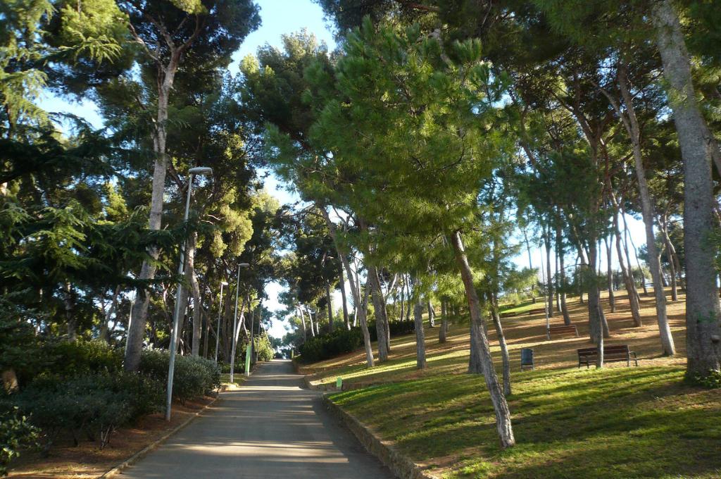 Walkway in Turo de la Piera park, Barcelona