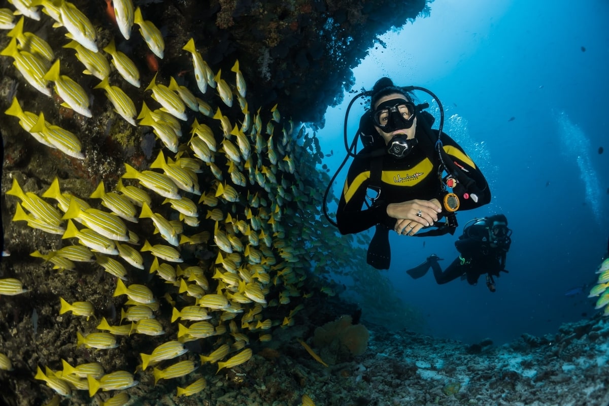 Two people scuba diving in reef