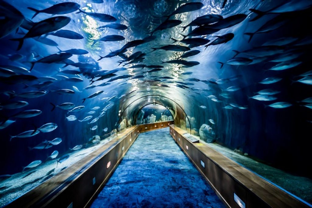valencia-aquarium-tickets