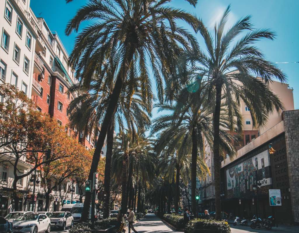 Palm trees line the streets of Valencia