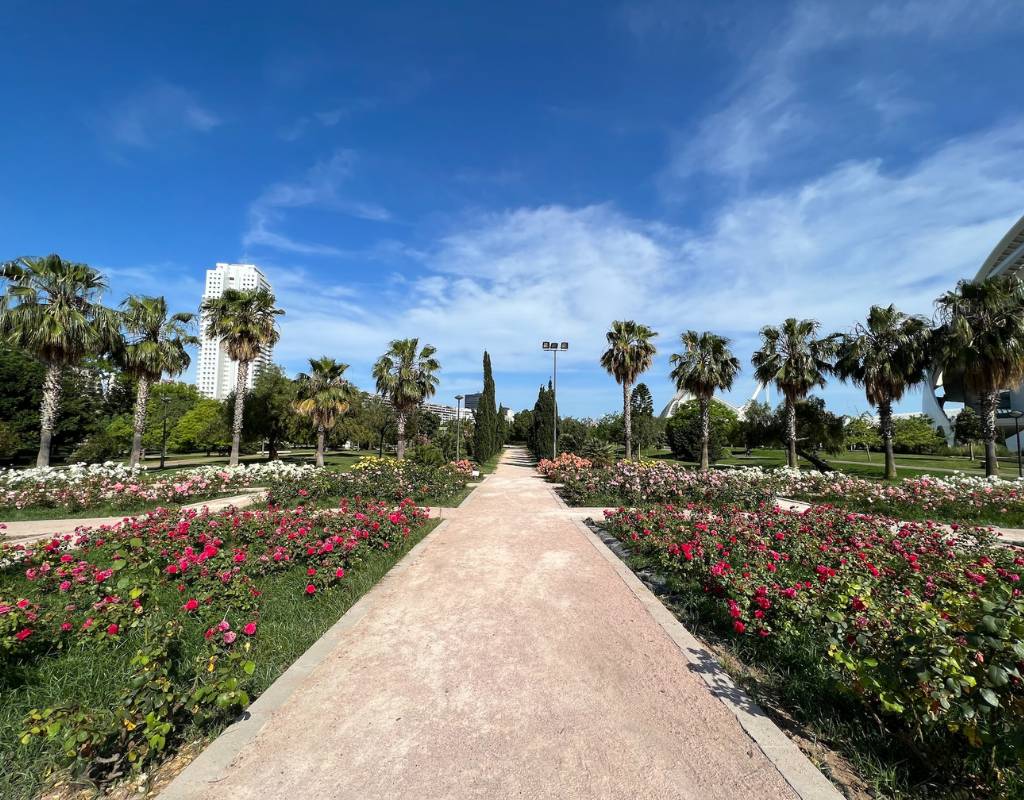 Rose Garden walking path in Valencia in the Summer time