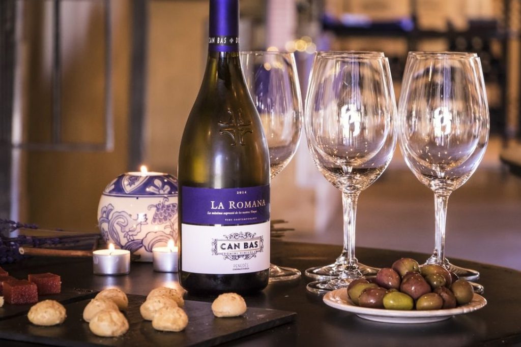 wine-tasting-in-barcelona